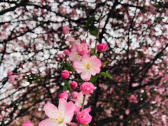 -上海市龙华烈士陵园