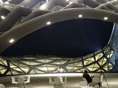 -哈尔滨大剧院