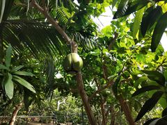 -北戴河集发农业梦想王国