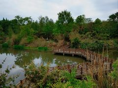 -桤木河湿地公园