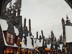 -哈利波特魔法世界