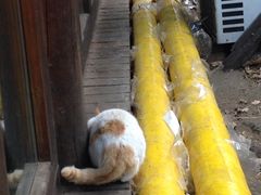 iphone_upload_pic-北京水岸山吧度假村(雁栖镇店)