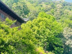-韬光茶庵