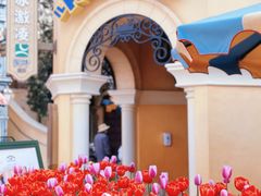 -上海迪士尼度假区