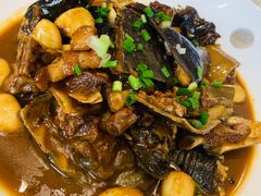 野生甲鱼-金锅小厨(乐活街店)