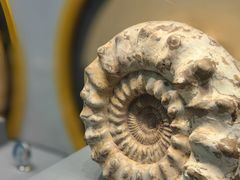 -湖南省地质博物馆