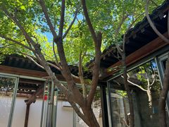-VOYAGE COFFEE(杨梅竹店)