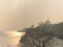 -深圳湾公园(南山区)