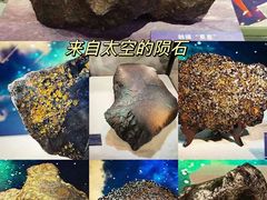 -中国地质博物馆