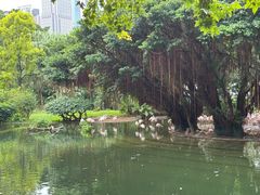 -九龙公园