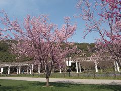 -苏州上方山国家森林公园