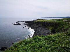 -涉地可支