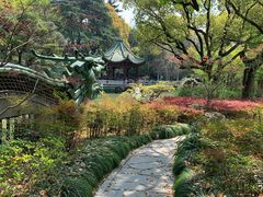 -申粤轩酒楼·三十年粤菜经典(丁香花园店)