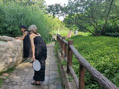 -成都市活水公园