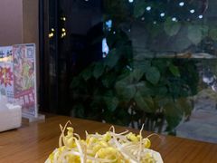 -黑猫馋纸包鱼(阳光店)