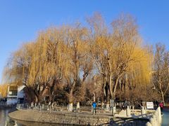 -裕华世纪公园