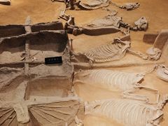 -洛阳周王城天子驾六博物馆