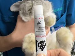 -瑞派·关忠动物医院猫科外科·异宠·24小时转诊中心(祥云店)
