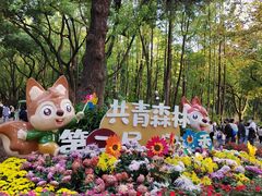 -上海共青森林公园