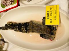 -皇宫大酒店
