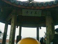 -杭州西湖风景名胜区-钱塘苏小小之墓