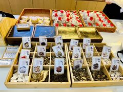 -罗湖区中医院梧桐药膳坊