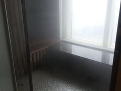 只有湿蒸但有view-上海柏悦酒店