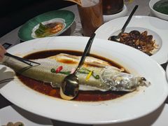 清蒸白水鱼-醉庐·新上海菜(南京西路店)