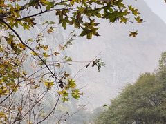 -少华山国家森林公园
