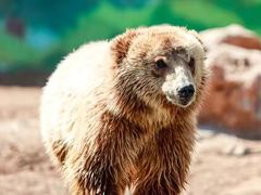 -济南野生动物世界