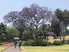 -悉尼歌剧院
