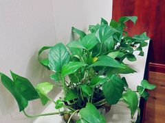 -繁花足道(梅江店)