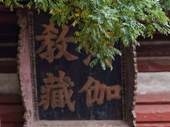 -善化寺