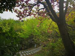 -石老人观光园