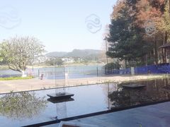 -白云湖畔酒店-湖畔餐厅