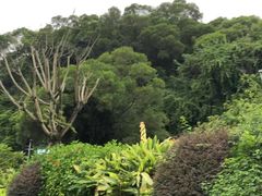 -金鸡山公园