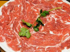 -一斗火锅·招财羊毛肚(北温泉九号店)