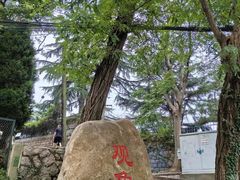 -观象山公园