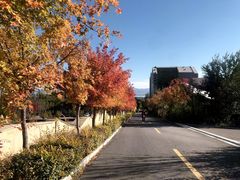 -古崖居风景名胜区
