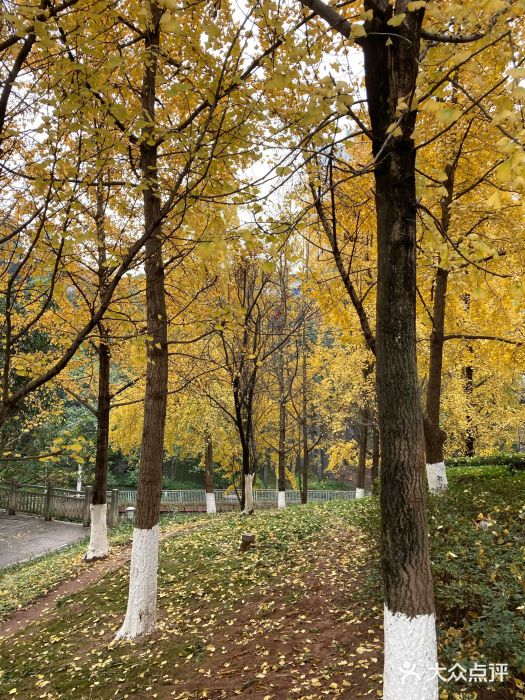 盘溪河公园图片