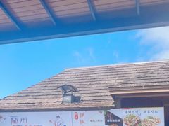 -亚龙湾热带天堂森林公园