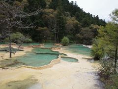 -黄龙山原始森林景区