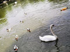 -石家庄市动物园