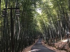 -苏州环秀晓筑养生度假村