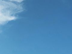 -魏家凉皮(博水商务大厦店)