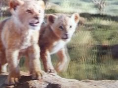 -乐天影城(威高广场店)