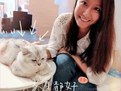 -猫儿山۰猫主题餐厅