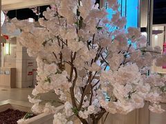 -碧水豪园·足浴·SPA·汗蒸·那须汤泉(中山东路店)