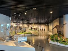 -北京周口店北京人遗址博物馆