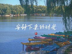 -北陵公园